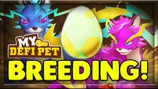 BREEDING UPDATE!!! MYDEFIPET