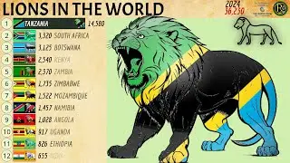 The Countries with the Most Lions in the World