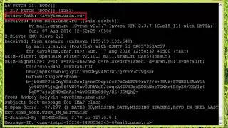 IMAP в текстовом режиме