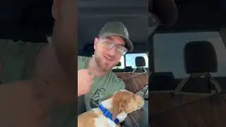 Ali 354 Part 1 of his vet visit