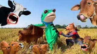 Con bò - Con bò con - Nhạc con bò - Con bò ăn cỏ - Bài hát con bò - Nhạc parody con bò #conbo