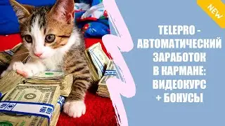 Заработок 500 рублей в день