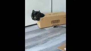 Новые трансформеры