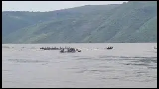 Naufrage  à  Kwamouth