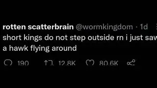 SHORT KINGS NO | Tweet by @wormkingdom