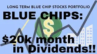 The Long Term Blue Chip Stocks Portfolio and Its Performance