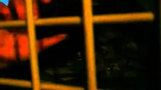 Видео, снятое в автозаке. Полицейский беспредел. 16.02.13