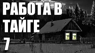 Scary Stories. Working in TAIGA - 7.