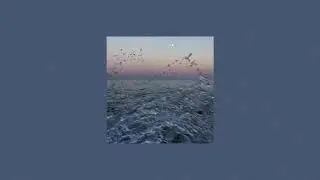 [FREE] 