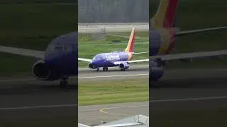 Meet the Boeing Family! Pt. 2