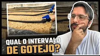 Quantas vezes acionar o gotejo na Hidroponia na areia?