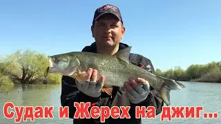 Спиннинг. Ловля судака и жереха на джиг .....