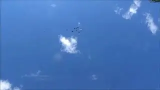 Мой фильм  КРУЖИТ  СТАЯ