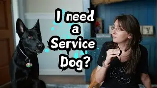Am I Disabled Enough to Need a Service Dog?
