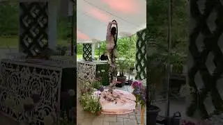 @GoodKarma_Entertainment Wedding Snippet