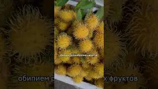 Куда поехать с ребенком в отпуск?