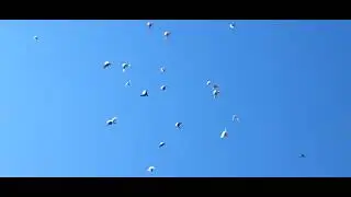 Самара 01.08.2023 жара, тренировка молодёжи