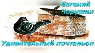 Удивительный почтальон. Е. Чарушин.