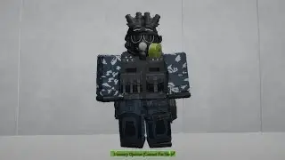 Roblox STALKER - Contract Mercenary Operator (Avatar Build)