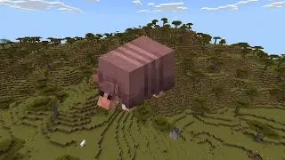 Minecraft 1.21 - All Armadillo Sounds
