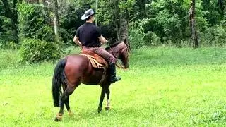 Passeio de cavalo I Lar rizzon