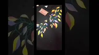 photographer man's special 👔shirts