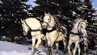 С Новым Годом, друзья!