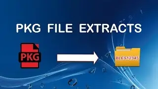 COMPARE PKG FILE EXTRACTS PKG_VIEW VS PKG_GUI