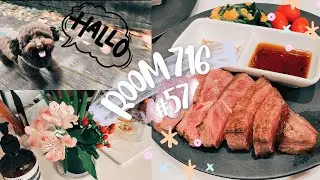 【#57】What I’ve been up to recently.