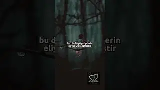 BU DİN HEP GARİPLERİN ELİYLE YÜKSELMİSTİR !! #kalbizikir #shortsvideo #shortsviral #shortsyoutube