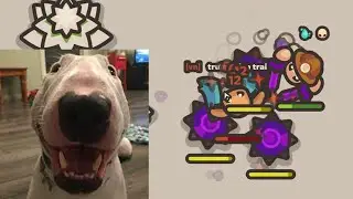 WALTER THE DOG PLAYS TAMING.IO (WITH FACE CAM, REAL)
