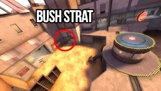 fregs