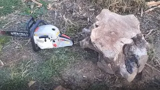 ce poate drujba ural mash !? se merita ?