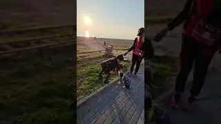 😍محمودي😍