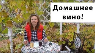 Как правильно сделать домашнее вино?