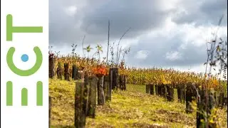 Le retour des terres inertes à l'agriculture | ECT