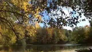 Осенняя прогулка по усадьбе 