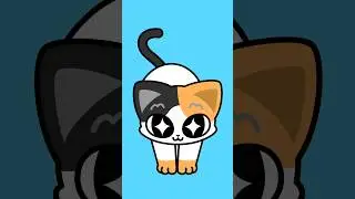 Introducing Curry😺