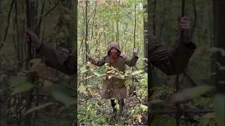 Как выжить в лесу, если вы заблудились