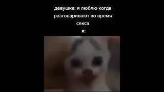 Девушка: я люблю когда ты разговариваешь во время с*кса