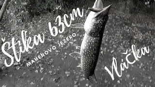 Štika na vláčku 63cm Mahenovo jezero Dyje 4C