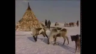 ЯНАО. Вот такой ландшафт кругом. Ямбург.