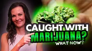 Four Legal Defenses for Marijuana Possession
