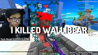 I Killed Wallibear in Bedwars!