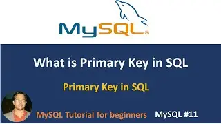 what is primary key in sql | primary key | mysql #11