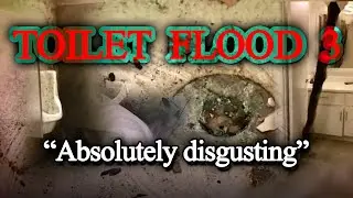 TOILET FLOOD COMPILATION 3