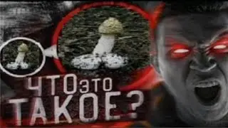 НОЧЬ В ПОДВАЛЕ ДИМЫ МАСЛЕННИКОВА | GhostBuster