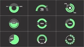 Circle Infographics | After Effects Template