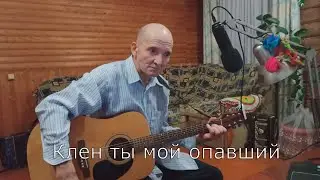 Есенин. Клен ты мой опавший. Лучшее исполнение