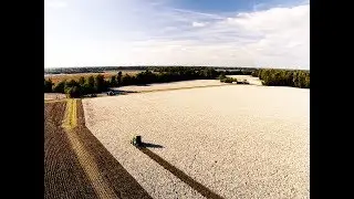 Bringing in the Cotton